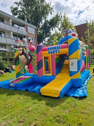 Party Animal te huur beschikbaar voor biedingen