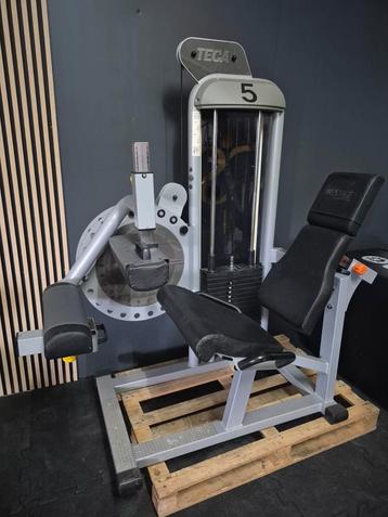 Teca Leg Curl / Hamstring Curl / Sitting Curl:  beschikbaar voor biedingen