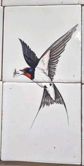 AANBIEDING Allermooiste echte witjes 0,80 per stuk  beschikbaar voor biedingen