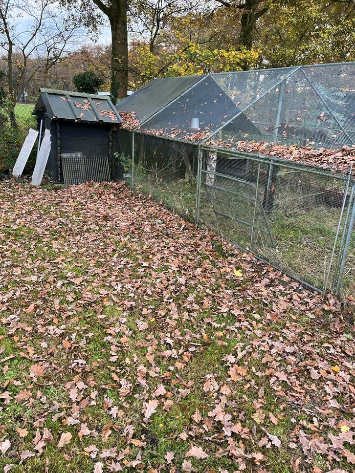 Ren of volière, Dieren en Toebehoren, Vogels | Hokken en Kooien, Gebruikt, Volière, Aluminium, Ophalen of Verzenden