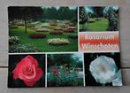Vintage ansichtkaart van Rosarium Winschoten, Ophalen of Verzenden, Ongelopen, Groningen