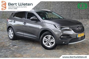 Opel Grandland X 1.2 Turbo Bus | Geen import | Trekhaak | Na beschikbaar voor biedingen