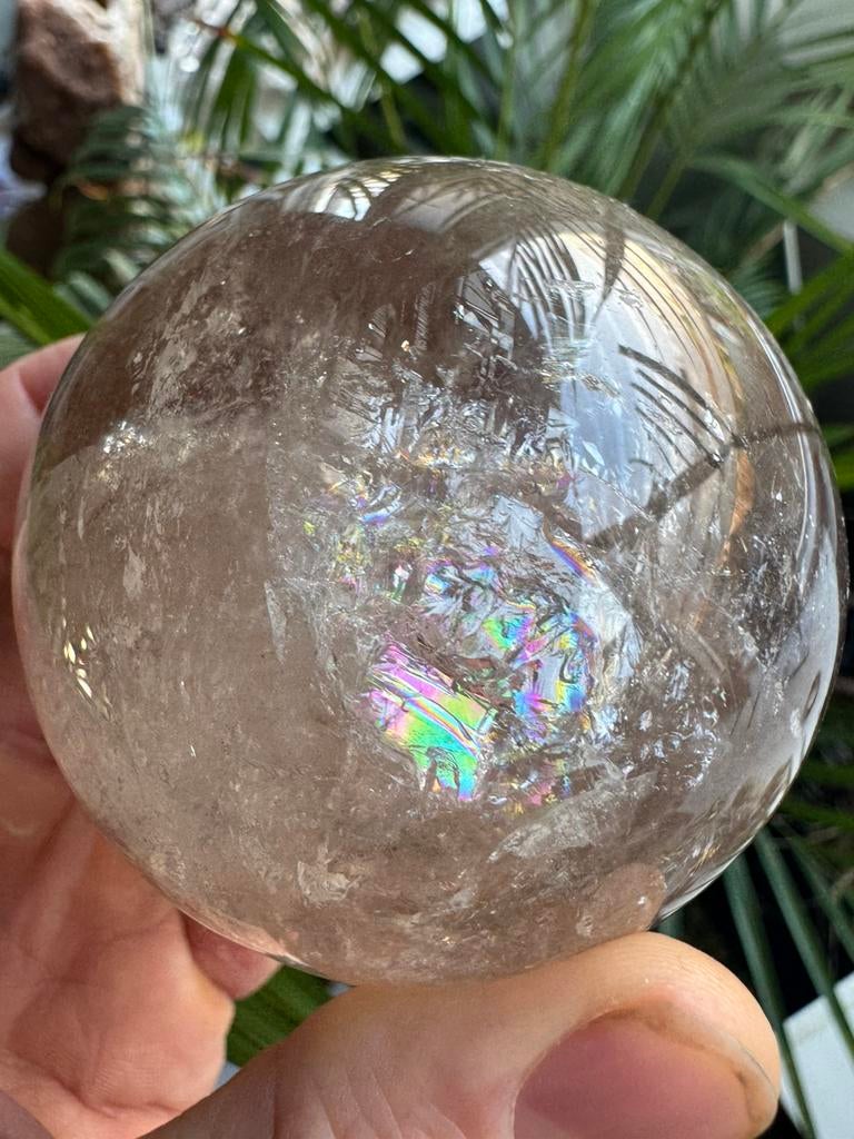 Rookkwarts bol, Verzamelen, Ophalen of Verzenden