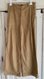 Leuke ribfluwelen broek, XS, truenyc, Truenyc, Beige, Ophalen of Verzenden, Zo goed als nieuw