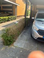Buxus verwijderen & nieuwe haag planten door heel NL, Tuin en Terras, Planten | Struiken en Hagen, Ophalen of Verzenden, Buxus