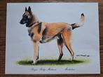 Prent Mechelse Herder, Ophalen of Verzenden, Voor 1940, Gebruikt