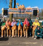 Loopgroep Carnaval Kamelenrace, Ophalen, Gedragen, Overige maten, Carnaval