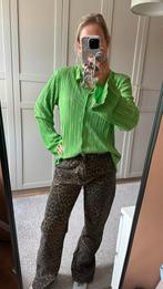 Panter broek Most Wanted, Kleding | Dames, Ophalen of Verzenden, Zo goed als nieuw, Lang