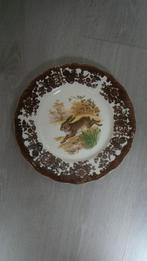 Nieuw bord doorsnee 25 cm., Overige materialen, Nieuw, Ophalen of Verzenden, Bord(en)