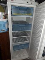 Diepvries, Ophalen of Verzenden, Zo goed als nieuw, Minder dan 60 cm, 160 cm of meer