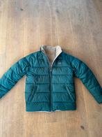 Patagonia winterjas heren, Ophalen of Verzenden, Zo goed als nieuw, Maat 48/50 (M), Groen