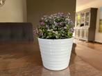 Witte Bloempot Ribbel - diameter 13 cm/hoogte 11 cm - Nieuw, Rond, Binnen, Ophalen of Verzenden, Zo goed als nieuw