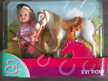 Evi pony beschikbaar voor biedingen