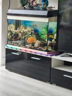 Rijssen. 80×35 aquarium., Dieren en Toebehoren, Vissen | Aquaria en Toebehoren, Ophalen of Verzenden, Leeg aquarium