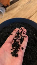 Gratis zwart Aquarium grind (korrel +/- 1 mm), Ophalen