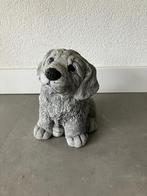 Te koop stenen hond, Ophalen, Gebruikt, Steen, Dierenbeeld