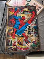 The Amazing Spiderman poster, Ophalen of Verzenden, Zo goed als nieuw