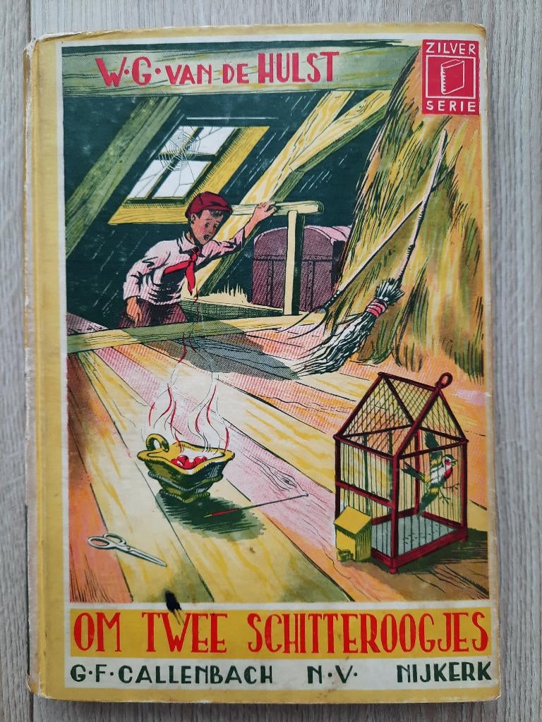 Boek Om twee Schitteroogjes - W.G. van de Hulst, Boeken, Ophalen of Verzenden, Gelezen, W.G. van de Hulst