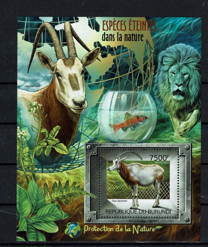 BURUNDI 2012 PF BLOK WILDLIFE ZOOGDIEREN VISSSEN GAZELLE, Postzegels en Munten, Postzegels | Thematische zegels, Postfris, Dier of Natuur