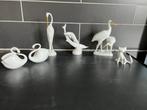 Porseleinen dieren, Ophalen of Verzenden, Nieuw, Dier