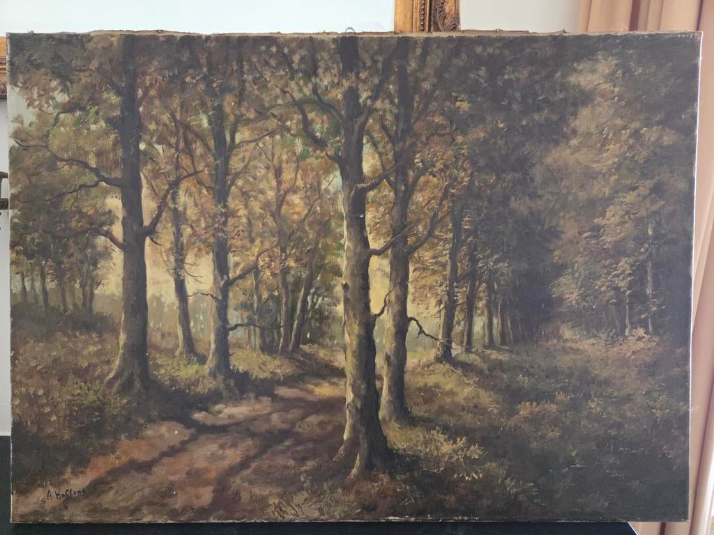 A. Hofland - Boslandschap, Olieverf op Linnen, Ophalen of Verzenden