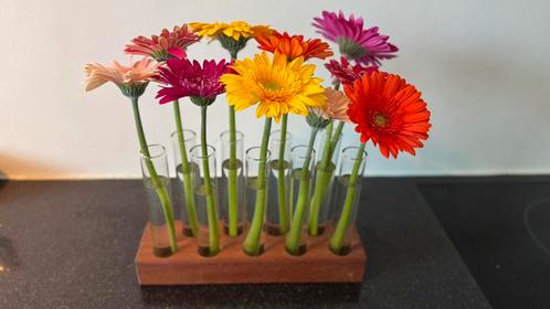 Stekjeshouder, 9 glazen buisjes, hardhout, Huis en Inrichting, Kamerplanten, Overige soorten, Minder dan 100 cm, Ophalen of Verzenden