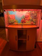 Juwel vision 180 aquarium - bezorging mogelijk, Dieren en Toebehoren, Vissen | Aquaria en Toebehoren, Gebruikt, Ophalen, Leeg aquarium