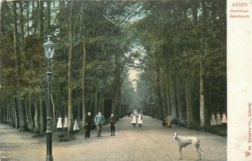 701127011 Assen Hoofdlaan Asserbosch beschikbaar voor biedingen