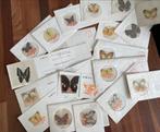 Verzameling collectie vlinders vibtil, Ophalen of Verzenden