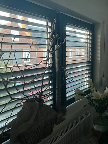 Shutters beschikbaar voor biedingen