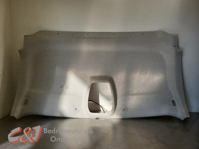 Hemelbekleding van een Renault Trafic, Auto-onderdelen, Interieur en Bekleding, Renault, Gebruikt, 3 maanden garantie, Ophalen of Verzenden