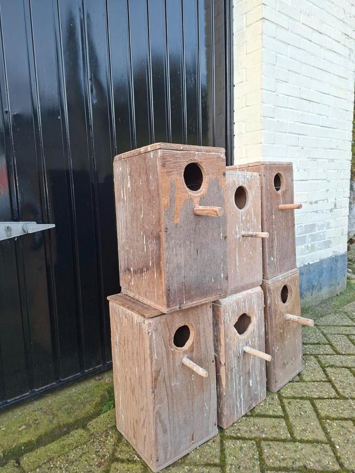 Broedblok grote parkiet, Dieren en Toebehoren, Vogels | Hokken en Kooien, Broedkooi of Kweekkooi, Hout, Ophalen