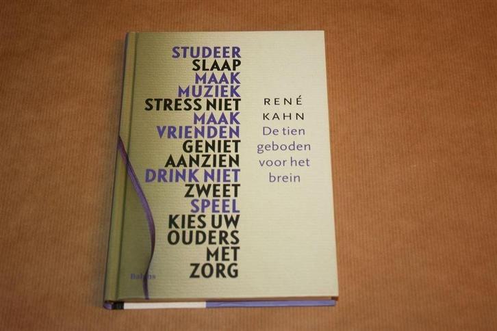 De tien geboden voor het brein - René Kahn, Boeken, Psychologie, Zo goed als nieuw, Ophalen of Verzenden