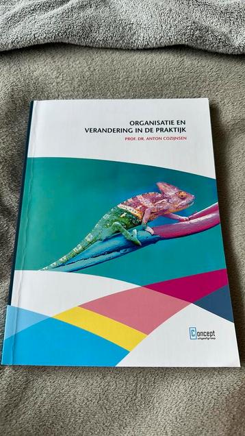 Anton Cozijnsen - Organisatie en verandering in de praktijk beschikbaar voor biedingen