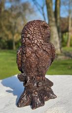 UIL OP BOOMSTRONK / bronzen beeld, Dierenbeeld, Nieuw, Info@huisentuindecoratiemarie.nl, Huis en tuin decoratie marie