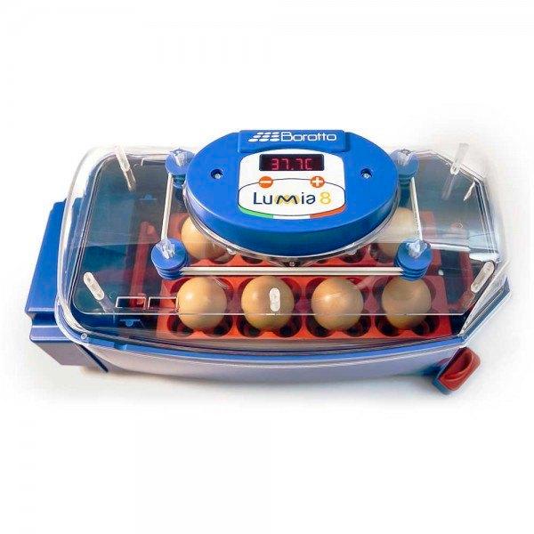 Borotto Lumia 8 incl. gratis broedeieren, Dieren en Toebehoren, Pluimvee | Toebehoren, Nieuw, Broedmachine, Ophalen of Verzenden