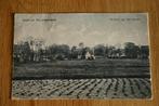 Ameland Nes, Gezicht het dorp (oostkant), Ophalen of Verzenden, 1920 tot 1940, Gelopen, Waddeneilanden