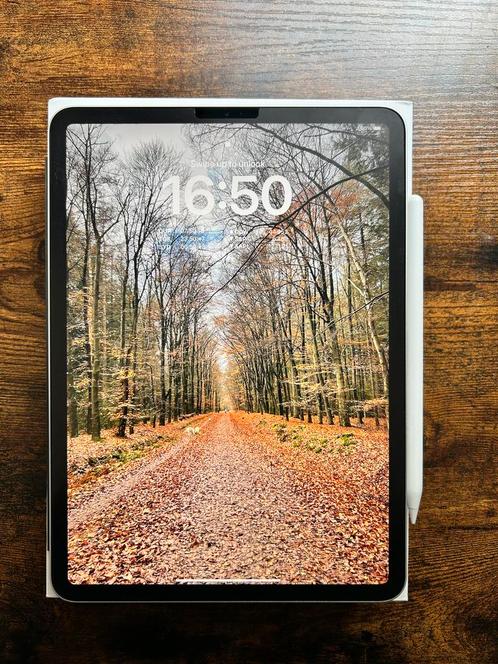 Apple iPad Pro (2e generatie), Computers en Software, Apple iPads, Gebruikt, Overige modellen, Wi-Fi, 11 inch, 256 GB, Zilver