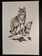Wolf, Verzenden, 1980 tot heden, Zo goed als nieuw, Dier