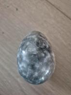 Fossiel ei, Verzamelen, Mineralen en Fossielen, Ophalen of Verzenden, Fossiel