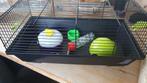 Hamsterkooi met benodigdheden, Dieren en Toebehoren, Kooi, Gebruikt, Minder dan 75 cm, Hamster
