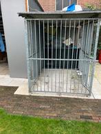 Honden kennel met onderhoudsvrij nachthok  trespa, Dieren en Toebehoren, Hondenkennel, 110 cm of meer, 100 cm of meer, Ophalen of Verzenden