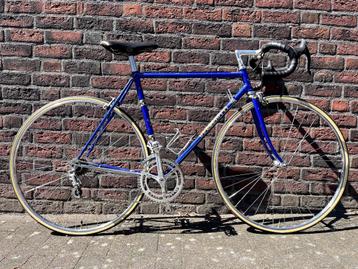 Racefiets Guerciotti - campagnolo components beschikbaar voor biedingen