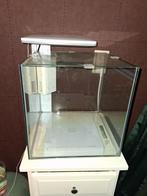 Superfish qubiq 30 aquarium, Dieren en Toebehoren, Ophalen