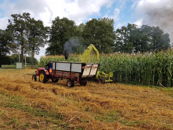 Schuitemaker meststrooier sms3000 met mais Schotten, Dieren en Toebehoren, Stalling en Weidegang