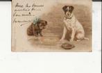 Twee hondjes bij een hoed 17 juni 1899, Verzenden, Voor 1920, Gelopen, Overige thema's