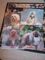 Kalenders met hondjes, Diversen, Kalenders, Ophalen, Maandkalender, Zo goed als nieuw