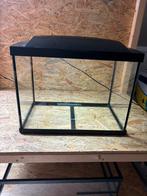 Superfish 50liter aquarium, Ophalen, Gebruikt, Leeg aquarium