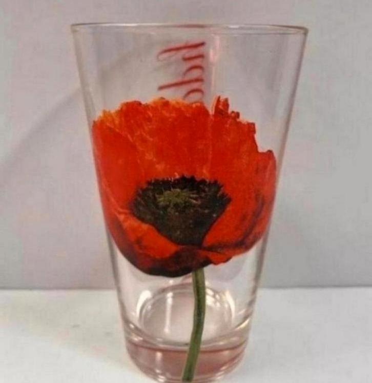 Twee VTG Glazen Cerve met Klaproos/Papaver, Verzamelen, Glas en Borrelglaasjes, Zo goed als nieuw, Frisdrankglas, Ophalen of Verzenden