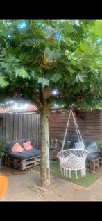 Palletbanken, Tuin en Terras, Tuinmeubel-accessoires, Ophalen, Gebruikt